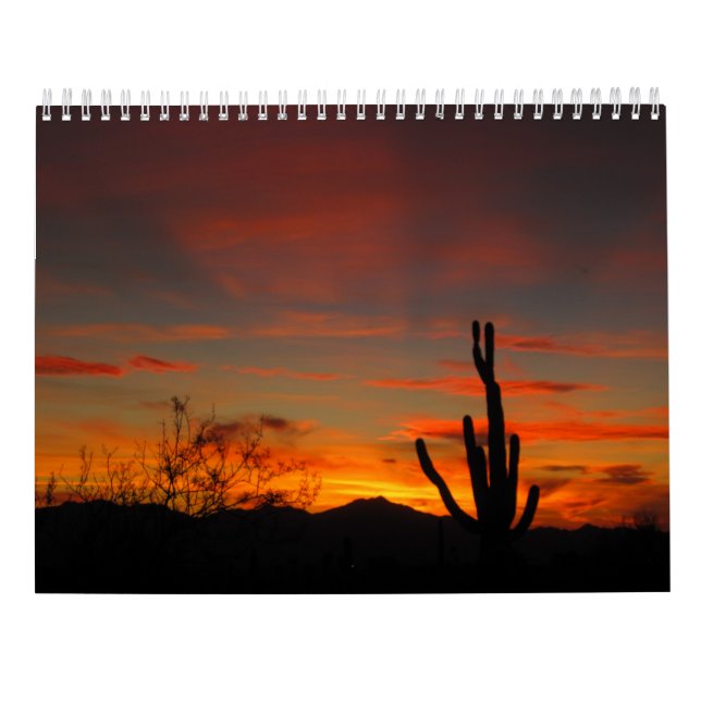 Kalender för Tucson väder 2017 (Baksida)