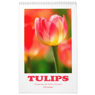 Kalender för tulips 2020