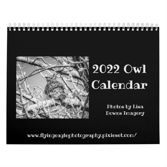 Kalender för uggla 2022 (Omslag)