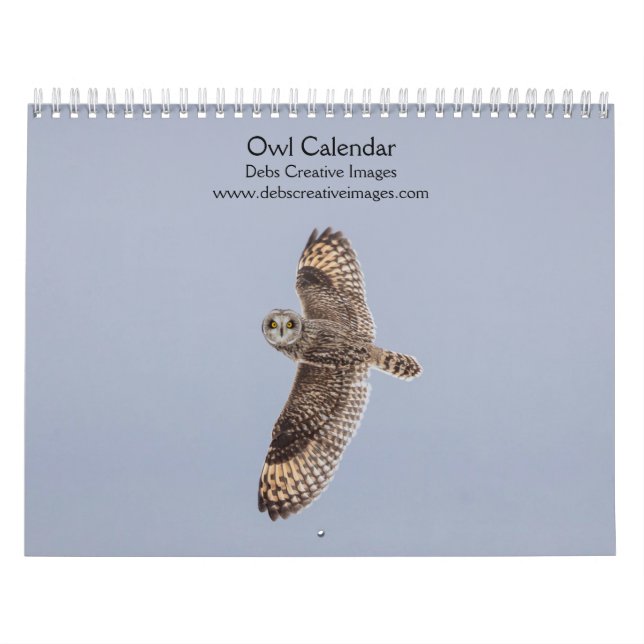 Kalender för uggla 2026 (Omslag)