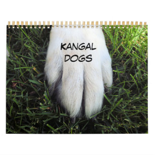 Kalender för utskriven anpassningsbar