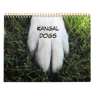 Kalender för utskriven anpassningsbar