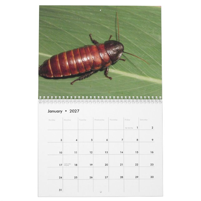 Kalender för vägg för Madagasgar (Jan 2027)