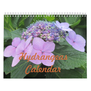 Kalender för vanlig hortensiaanpassadeblomma
