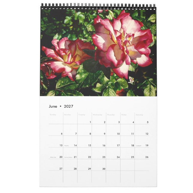 Kalender för vattenfärgsblommor (Jun 2027)