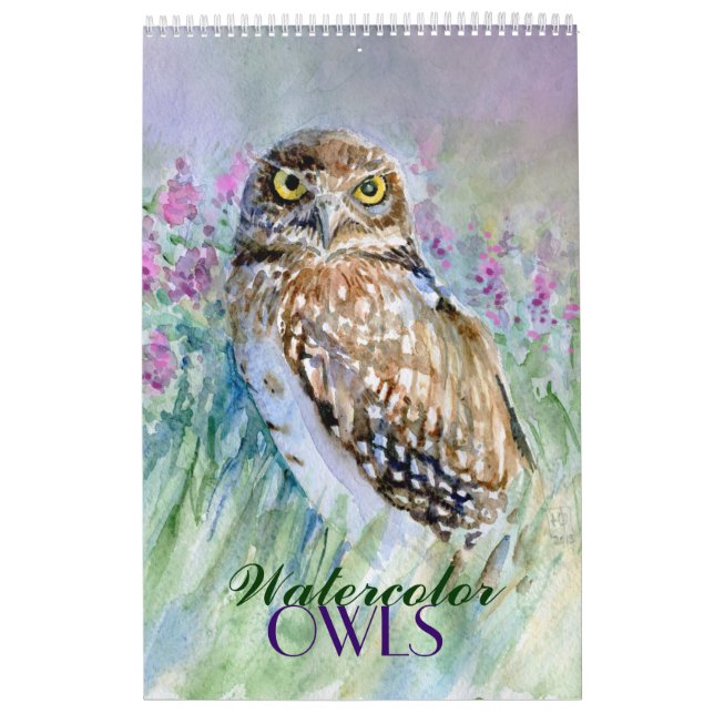 Kalender för vattenfärgugglamålningar (Omslag)
