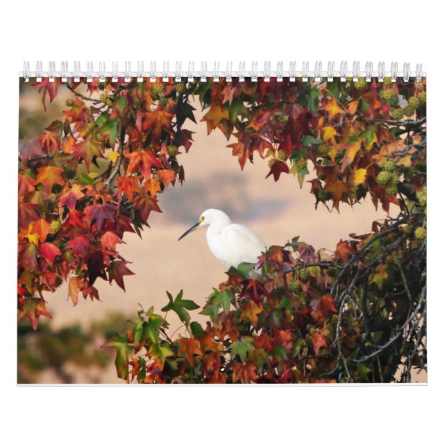 Kalender för vilda djur och växter (Omslag)