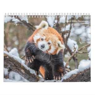 Kalender för vilda fotografier