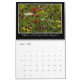 Kalender för vildblommar 2017 av Thomas Minutolo (Mar 2025)