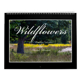 Kalender för vildblommar 2017 av Thomas Minutolo