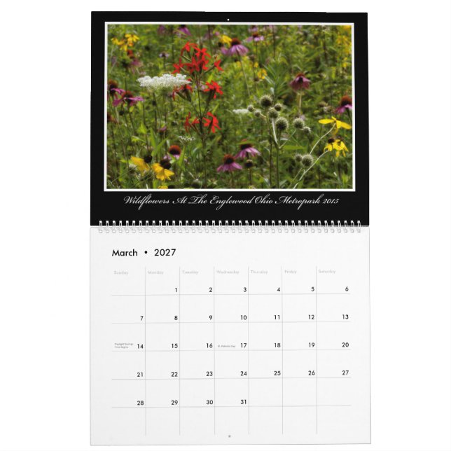 Kalender för vildblommar 2017 av Thomas Minutolo (Mar 2027)
