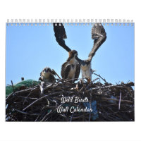Kalender för Vildens fågelväggar