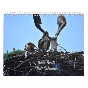 Kalender för Vildens fågelväggar