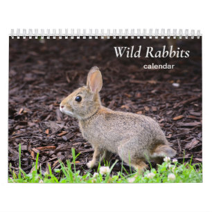 Kalender för vildens kanter