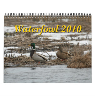 Kalender för Waterfowl 2010