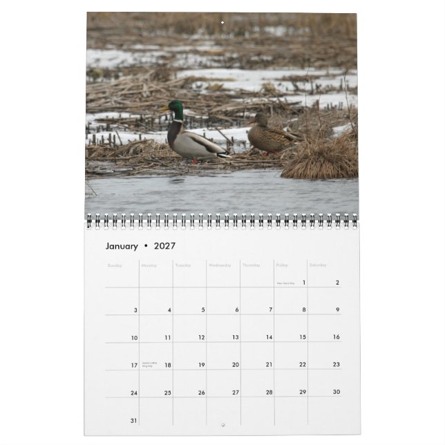 Kalender för Waterfowl 2011 (Jan 2027)