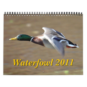 Kalender för Waterfowl 2011