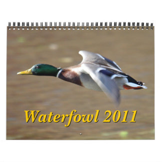 Kalender för Waterfowl 2011