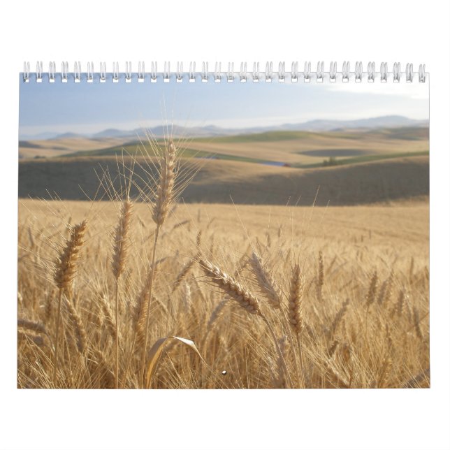 Kalender för westerna scener (Omslag)