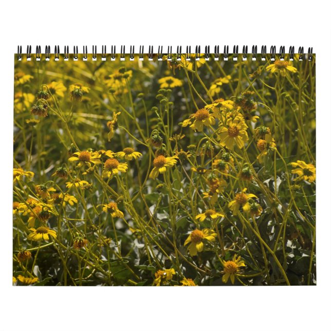 Kalender för Wildblomsterskript (Omslag)