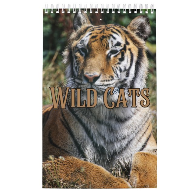 Kalender för Wildkatter Showcase-samlingsvall (Omslag)