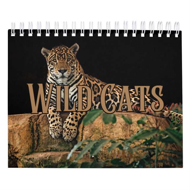 Kalender för Wildkatter Showcase-samlingsvall (Omslag)