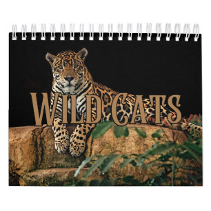 Kalender för Wildkatter Showcase-samlingsvall