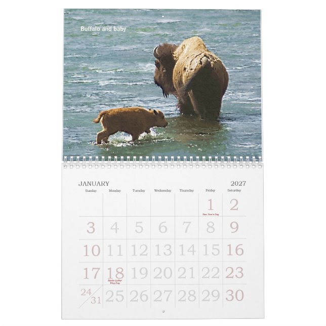 Kalender för Yellowstone djurliv 2008 (Jan 2027)
