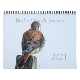 Kalender - Foton av nordamerikanska fåglar