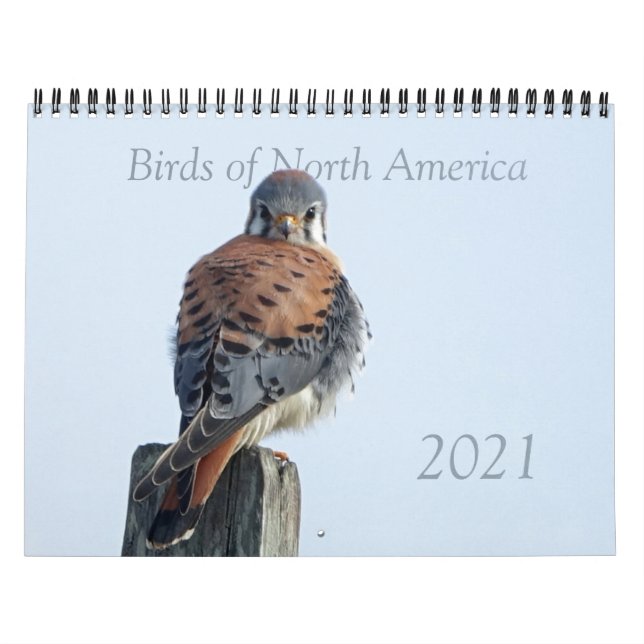 Kalender - Foton av nordamerikanska fåglar (Omslag)