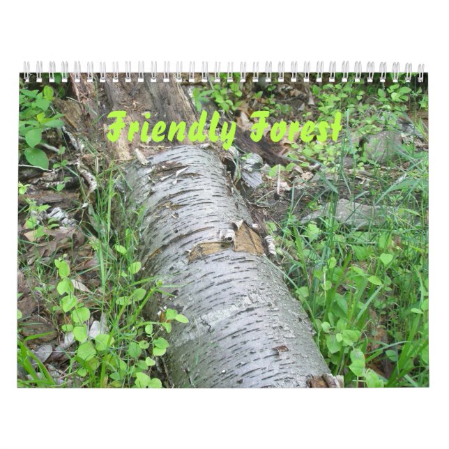 Kalender - Friendly Forest (Omslag)