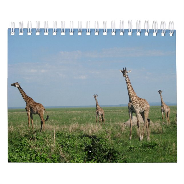 Kalender-Giraffe Kalender (Omslag)