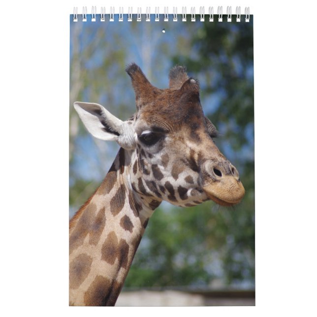 Kalender-Giraffen Kalender (Omslag)