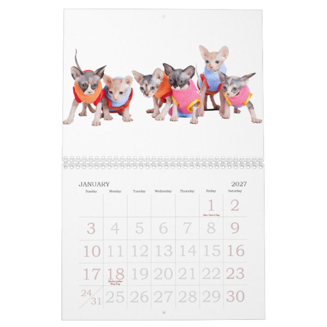 Kalender | GoSphynx.com för Sphynx kattvägg (Jan 2027)