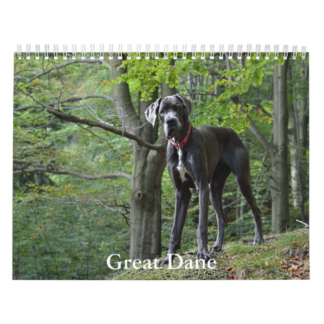 Kalender great dane (Omslag)