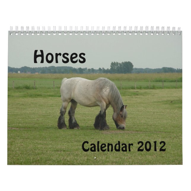 Kalender - hästar (Omslag)
