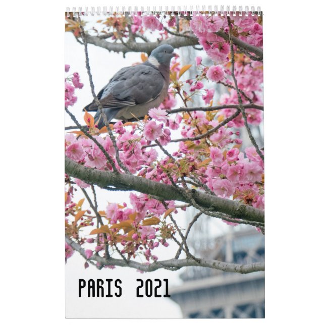 Kalender i Paris 2021 (Omslag)