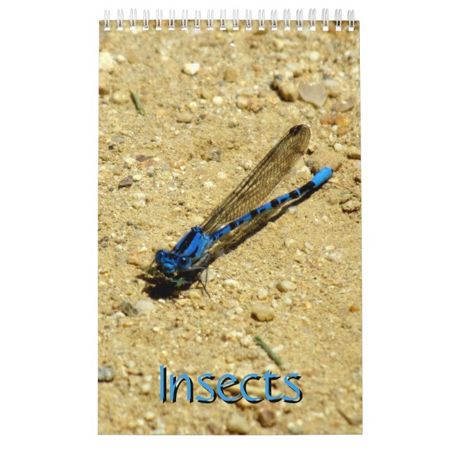 Kalender - Insekter vol.2 (Omslag)