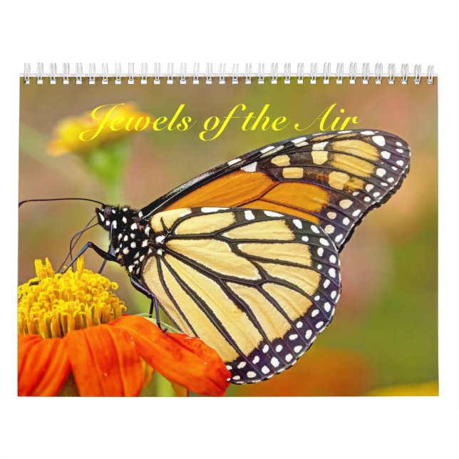 Kalender - judar i Luft (Omslag)