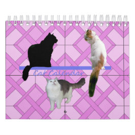 Kalender - Katt