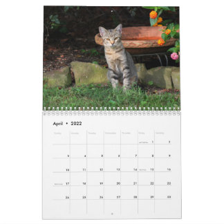 Kalender Kattunge