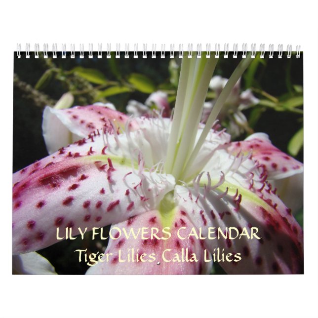 KALENDER LILJOR Rosa Calla Lily Blommor Tigerlily (Omslag)