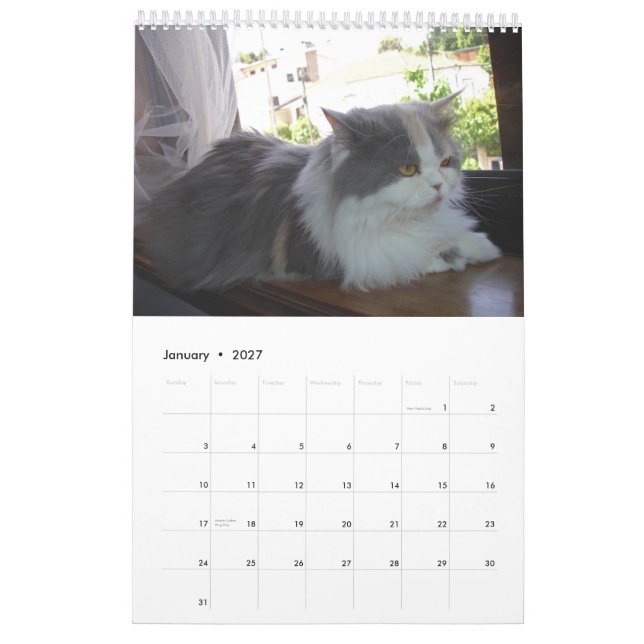 Kalender med skräddarsy katter - (Jan 2027)