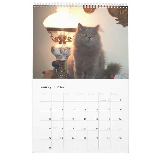 Kalender med skräddarsy katter - (Jan 2027)