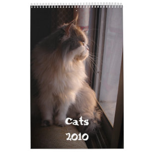 Kalender med skräddarsy katter -