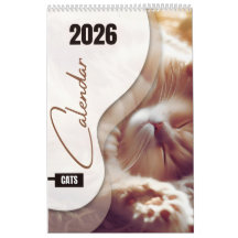 Kalender med söta katter