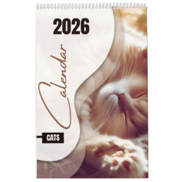 Kalender med söta katter