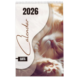 Kalender med söta katter