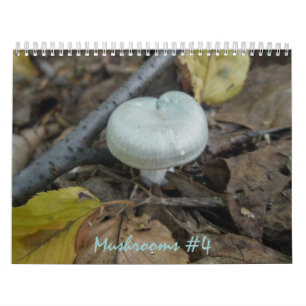 Kalender - mer fantastiska svampar #4