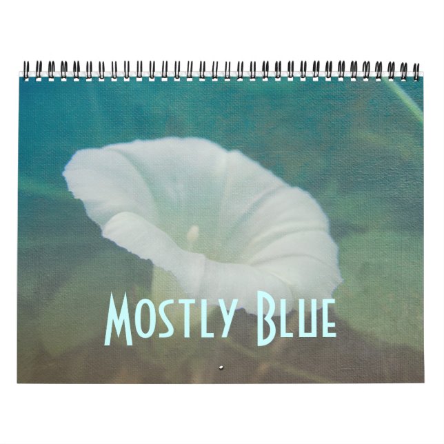 Kalender - mest blått (Omslag)